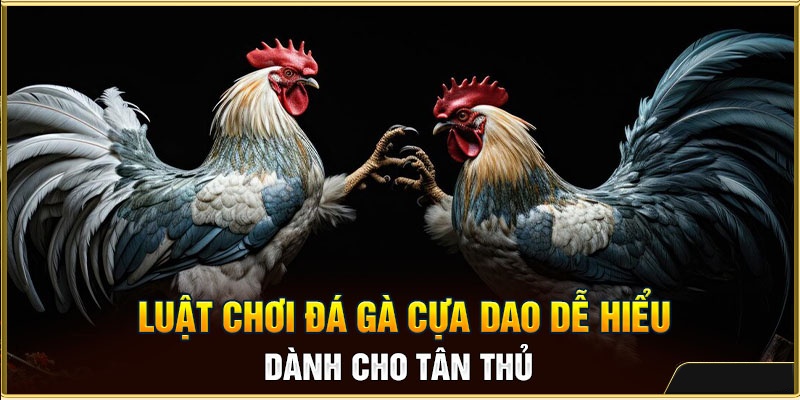 Tìm hiểu về luật chơi và cách phân định thắng thua