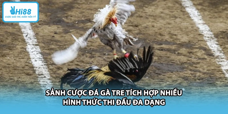 Sảnh nổ hũ HI88 tích hợp đa dạng trò chơi slots hiện đại.